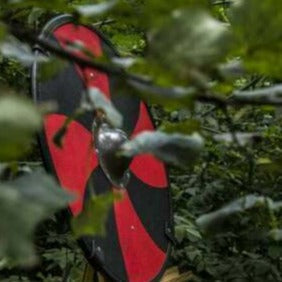 Smooth Wood & Steel Viking Shield - LARP Medieval Shield